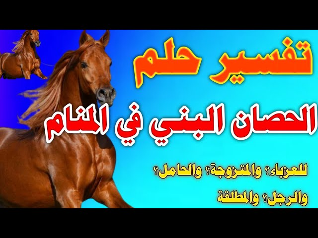 تفسير الحصان البني في المنام للعزباء والمتزوجة