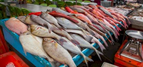 تفسير حلم سوق السمك في المنام